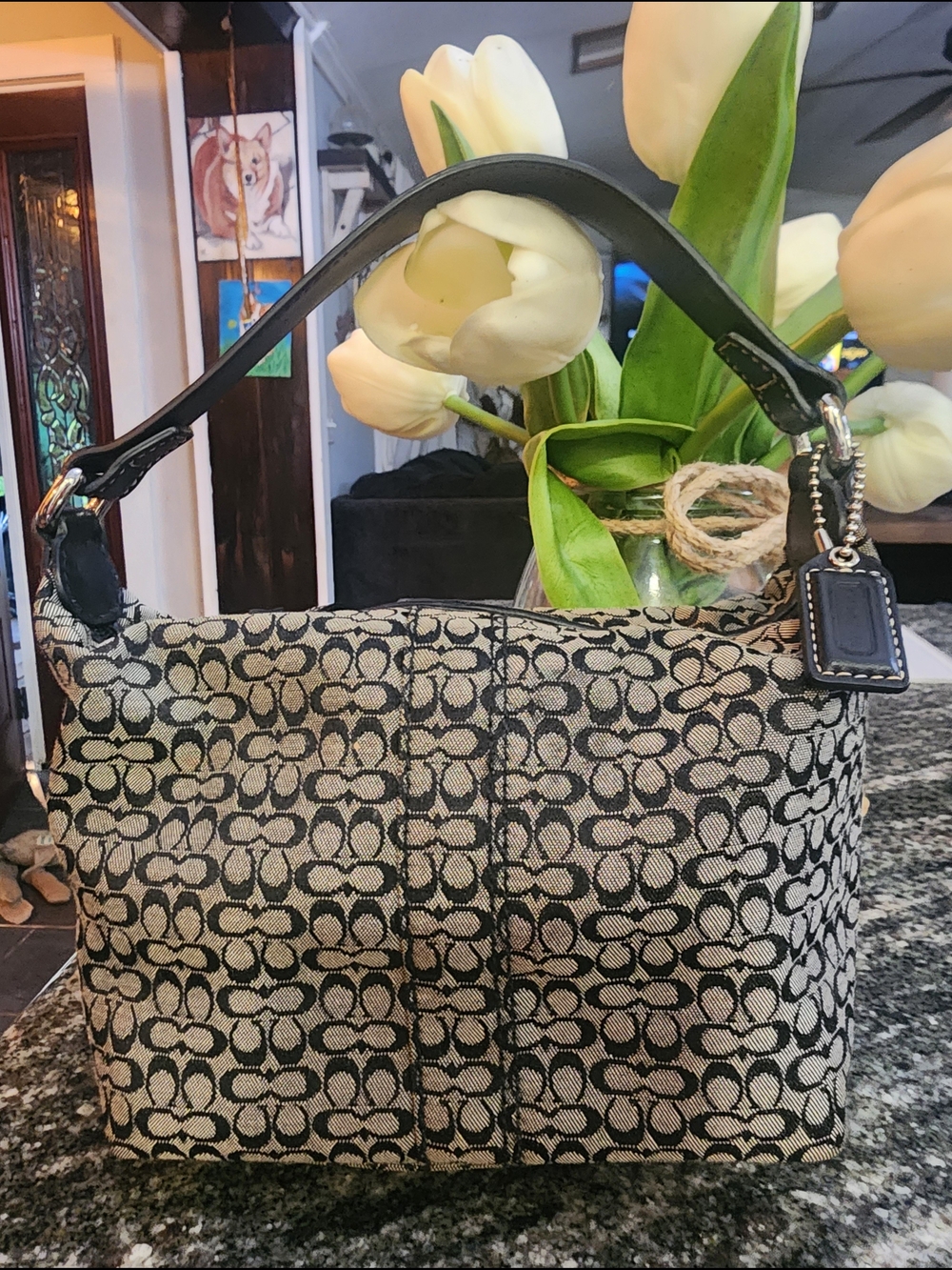 Coach Soho Mini Signature Canvas  Bag